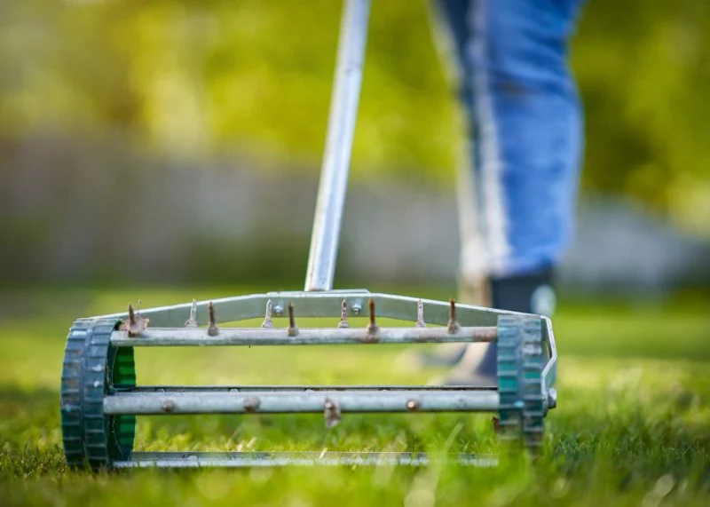 How Often Should You Aerate Your Lawn?