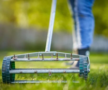How Often Should You Aerate Your Lawn?