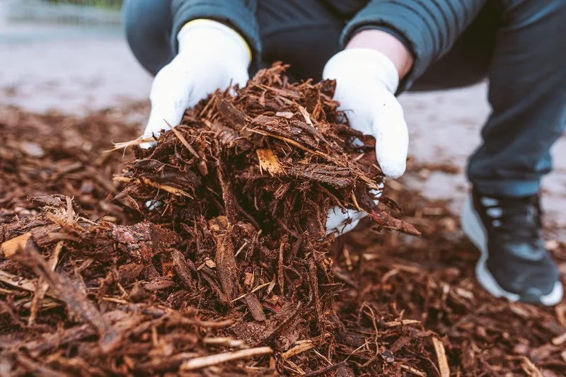 How to Choose Between Bark, Gravel, or Rubber Mulch for Landscaping