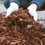 How to Choose Between Bark, Gravel, or Rubber Mulch for Landscaping