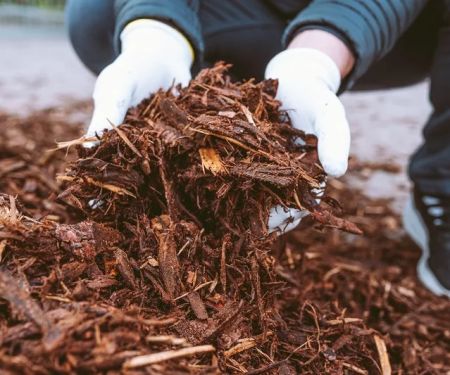 How to Choose Between Bark, Gravel, or Rubber Mulch for Landscaping