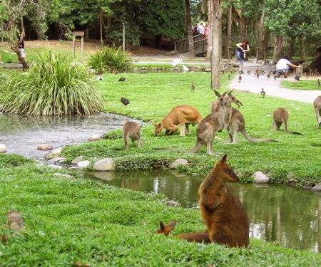 How to Landscape for Seasonal Wildlife Attraction: Creating Habitats for Nature's Visitors
