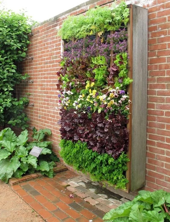 How to Plan Vertical & Horizontal Plant Movement for a Thriving Garden