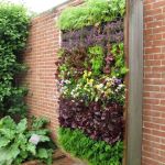 How to Plan Vertical & Horizontal Plant Movement for a Thriving Garden