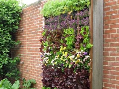 How to Plan Vertical & Horizontal Plant Movement for a Thriving Garden