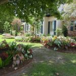 How to Use Accent Trees for Visual Impact: Enhance Your Landscape Design