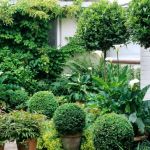 How to Landscape With Year-Round Evergreen Interest