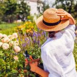 How to Stage a Garden Through Seasonal Transitions