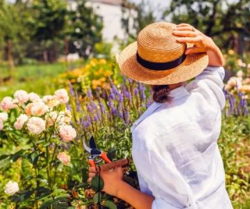 How to Stage a Garden Through Seasonal Transitions