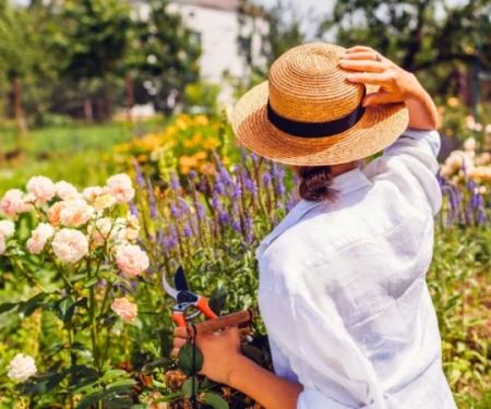 How to Stage a Garden Through Seasonal Transitions