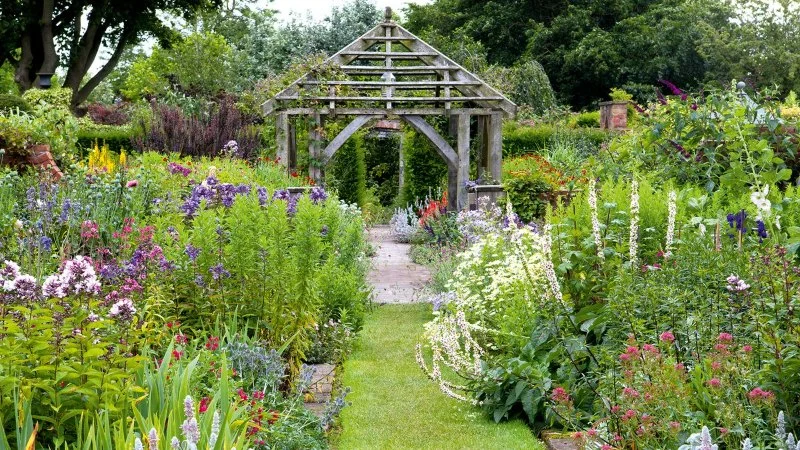 How to Design a Garden That Changes All Year