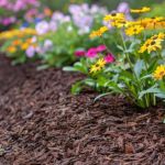 How to Choose the Right Mulch for Your Garden Beds