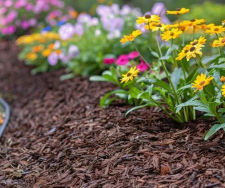 How to Choose the Right Mulch for Your Garden Beds