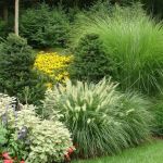 How to Use Ornamental Grasses as Soft Barriers in Landscaping