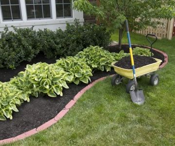 How to Use Mulch Depth & Type Wisely
