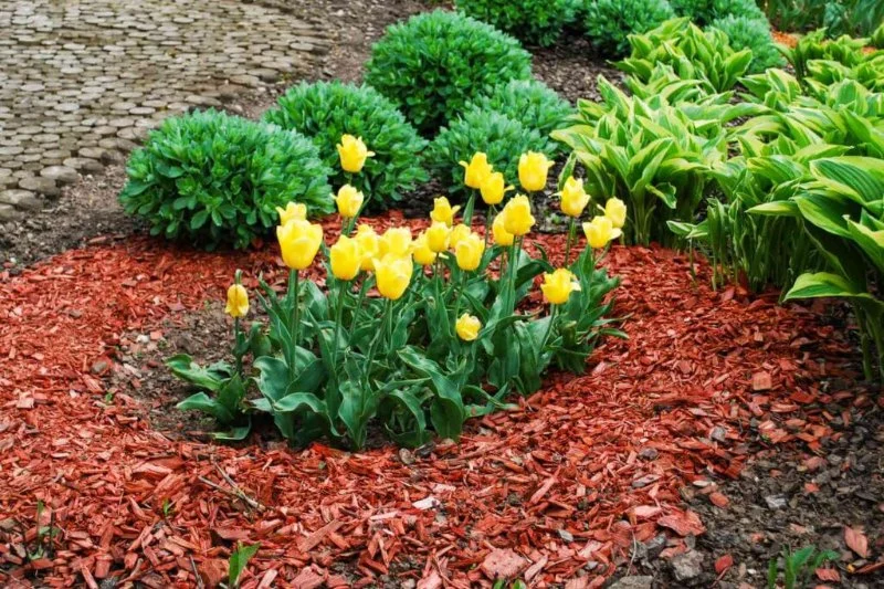 How to Choose the Right Mulch for Effective Weed Suppression