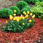How to Choose the Right Mulch for Effective Weed Suppression