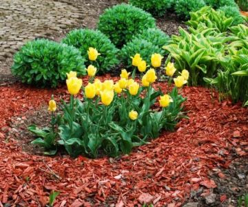 How to Choose the Right Mulch for Effective Weed Suppression