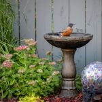 How to Create a Garden That Attracts Birds Year-Round