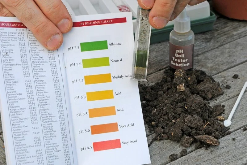 How to Use pH Levels to Optimize Plant Growth