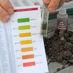 How to Use pH Levels to Optimize Plant Growth