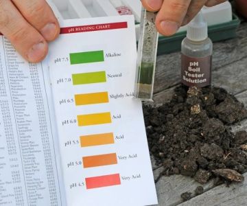 How to Use pH Levels to Optimize Plant Growth