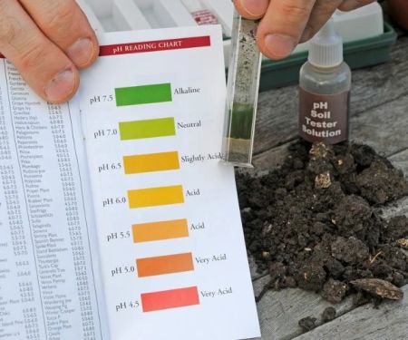 How to Use pH Levels to Optimize Plant Growth