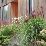 How to Landscape With Ornamental Grasses: Tips and Ideas