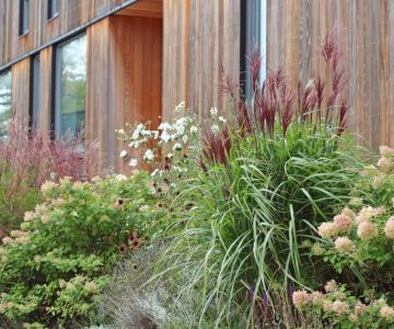 How to Landscape With Ornamental Grasses: Tips and Ideas