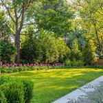 How to Create a Healthy Lawn in Hot, Dry Summer