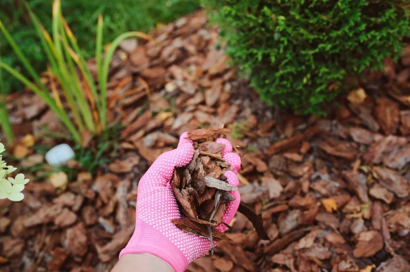 How to Choose Mulch Based on Soil Type