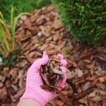 How to Choose Mulch Based on Soil Type