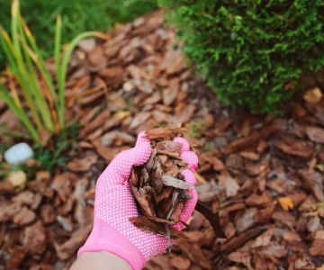 How to Choose Mulch Based on Soil Type