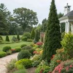 Mixing Evergreens and Flowering Plants: A Guide to Harmonious Landscaping