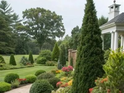 Mixing Evergreens and Flowering Plants: A Guide to Harmonious Landscaping