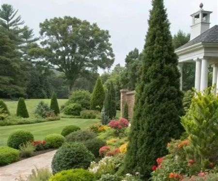 Mixing Evergreens and Flowering Plants: A Guide to Harmonious Landscaping