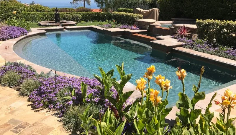 How to Landscape Around a Swimming Pool Without the Mess