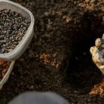 How to Deal With Poor Soil: Amendments & Improvements for Better Gardening