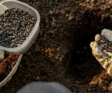 How to Deal With Poor Soil: Amendments & Improvements for Better Gardening