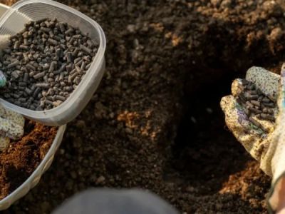 How to Deal With Poor Soil: Amendments & Improvements for Better Gardening