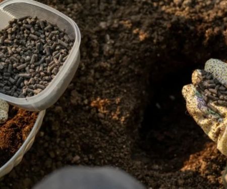 How to Deal With Poor Soil: Amendments & Improvements for Better Gardening