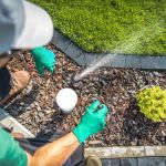 How to Reduce Your Landscape’s Water Usage by 30%