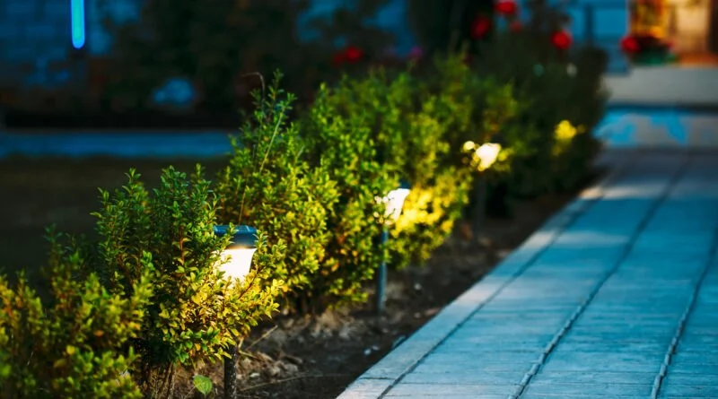 How to Use Solar Lighting in Your Garden Effectively