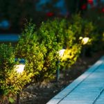 How to Use Solar Lighting in Your Garden Effectively