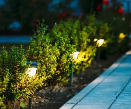 How to Use Solar Lighting in Your Garden Effectively