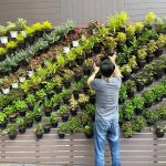 How to Plan Vertical & Horizontal Plant Movement