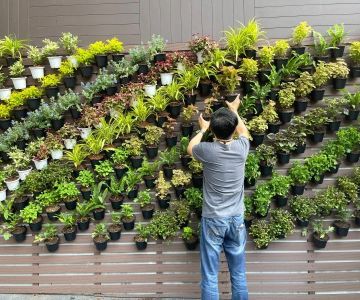 How to Plan Vertical & Horizontal Plant Movement
