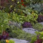 How to Incorporate Edible Plants Into Ornamental Gardens
