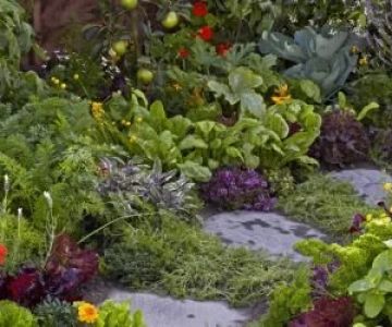 How to Incorporate Edible Plants Into Ornamental Gardens