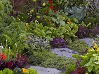How to Incorporate Edible Plants Into Ornamental Gardens
